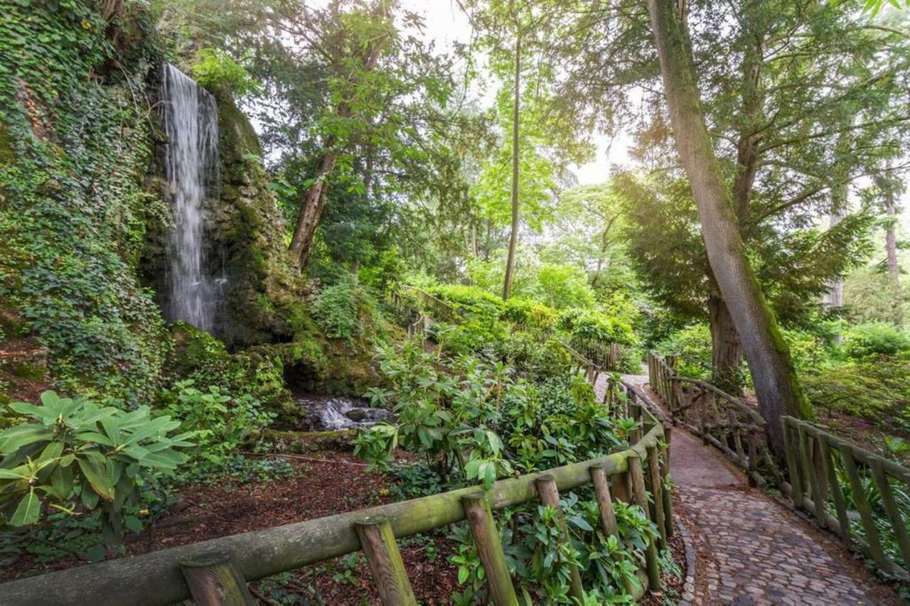 Ferienwohnung Calme Appart Renove Jardin Des Plantes Busca Toulouse Exterior foto