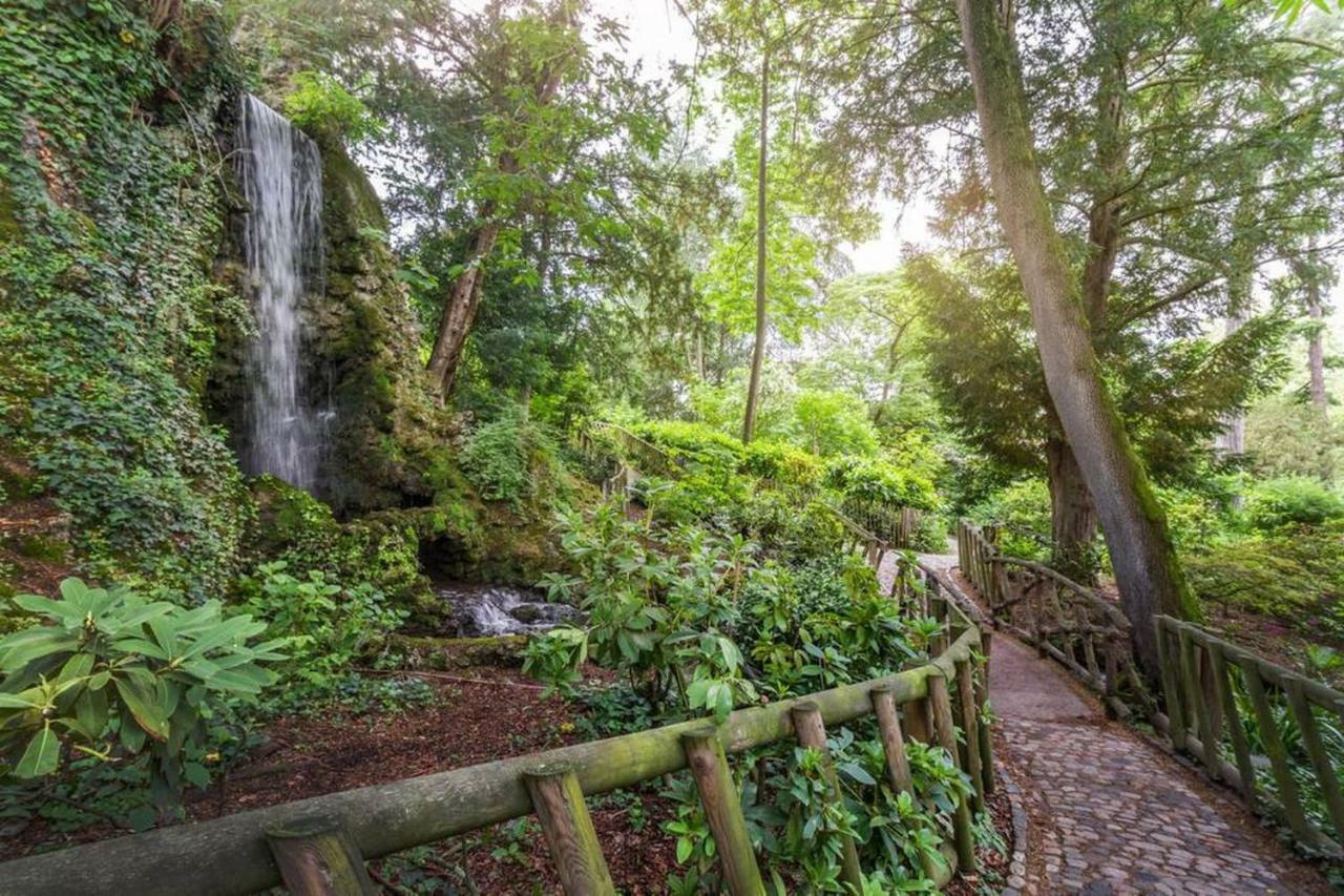 Calme Appart Renove Jardin Des Plantes Busca Toulouse Exterior foto